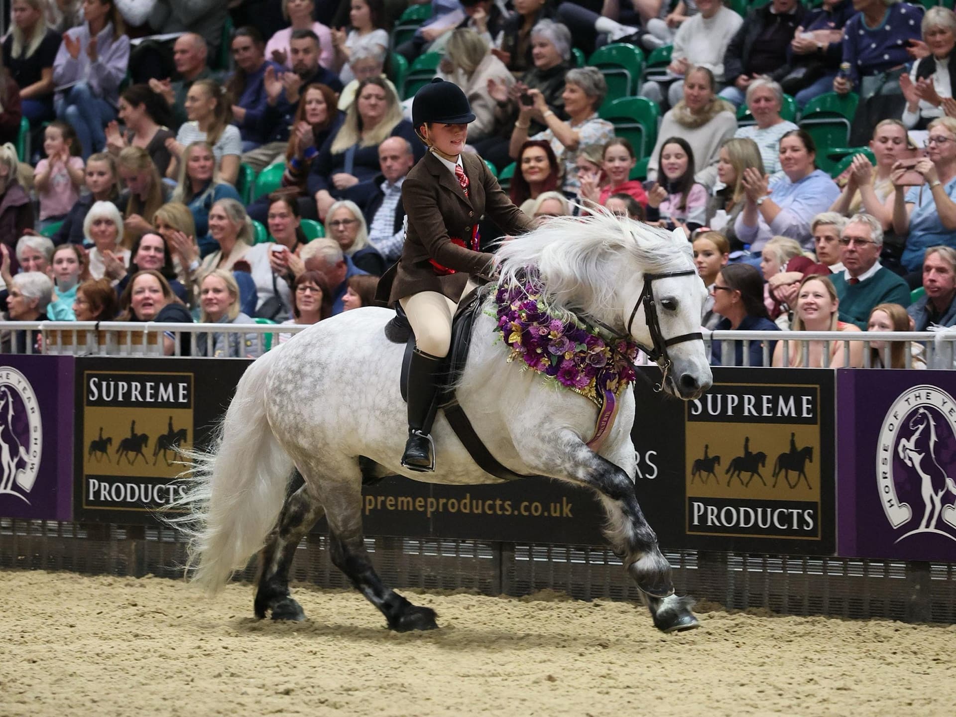 Highland pony feature