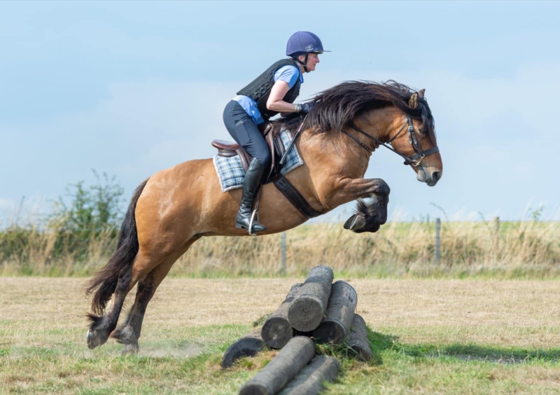 Orla of Glentruim, a Highland pony jumping cross-country