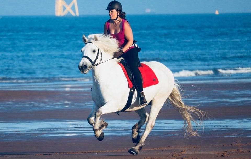 A pony and rider cantering along a beach