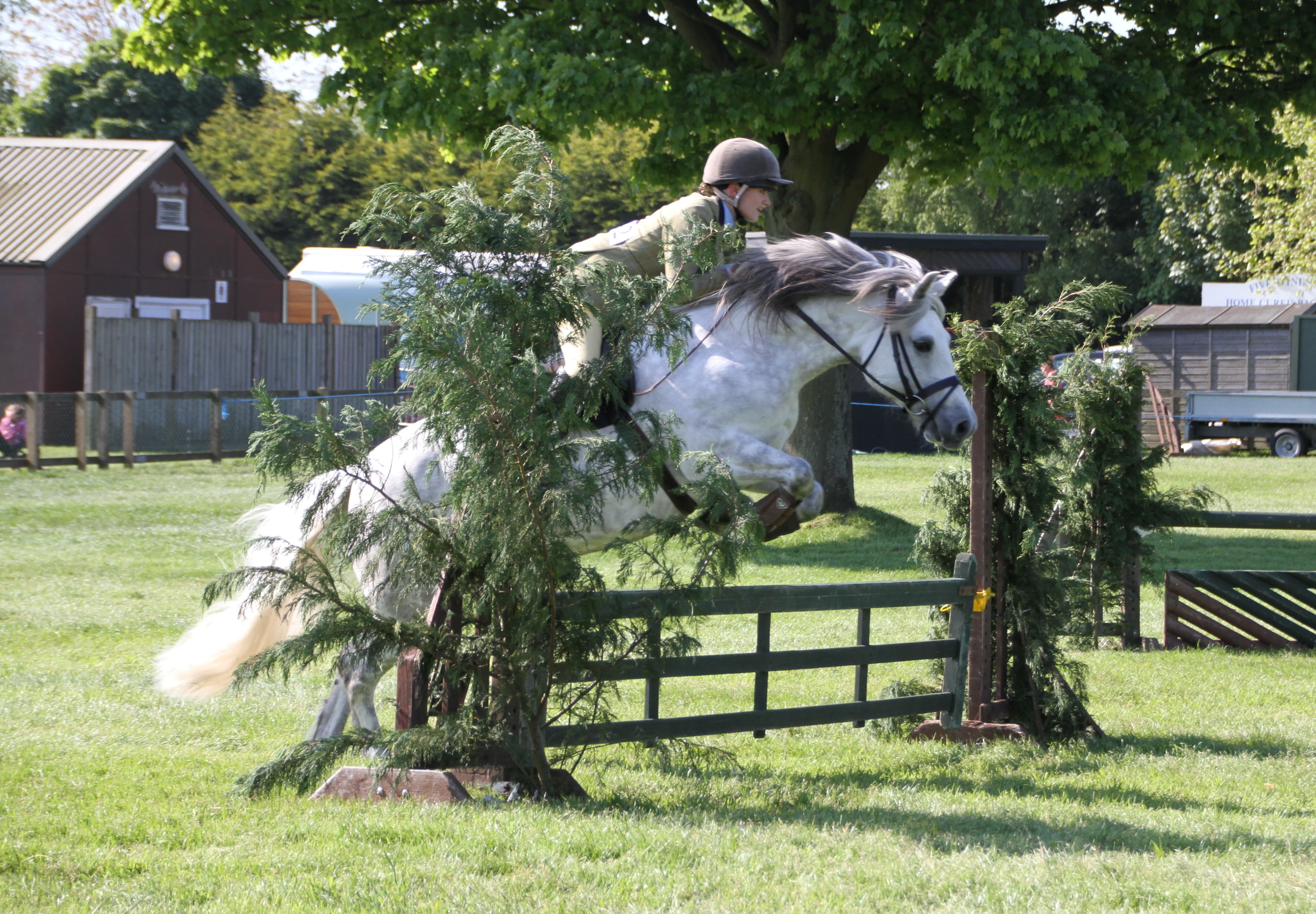 A young rider jumping a decorated cross-country fence