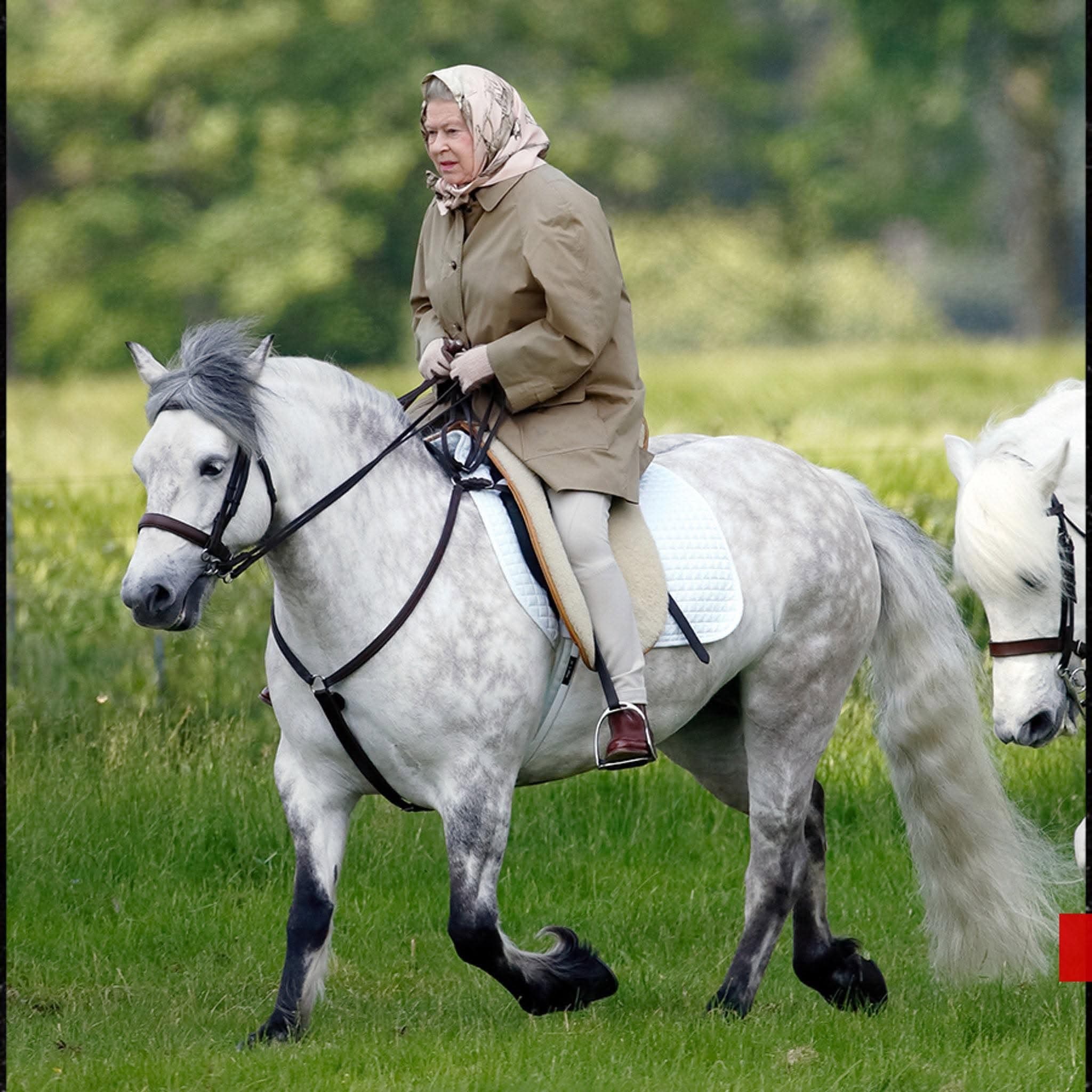 The late Queen Elizabeth II riding a grey Highland pony
