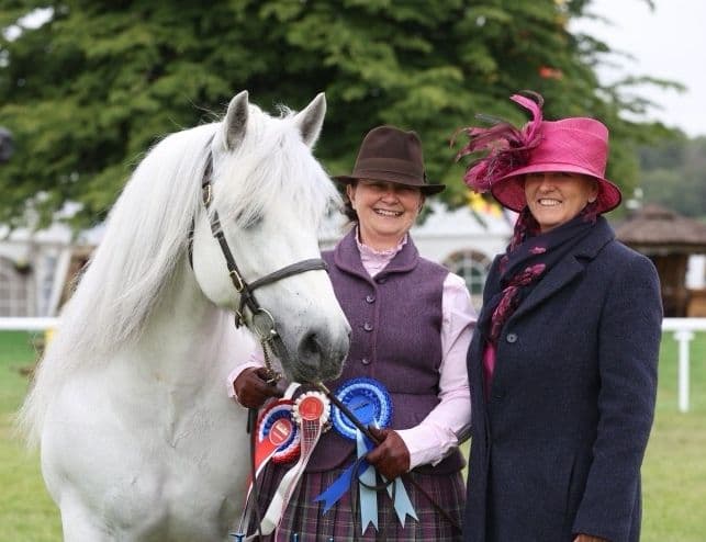 A pony with two handlers at a showground