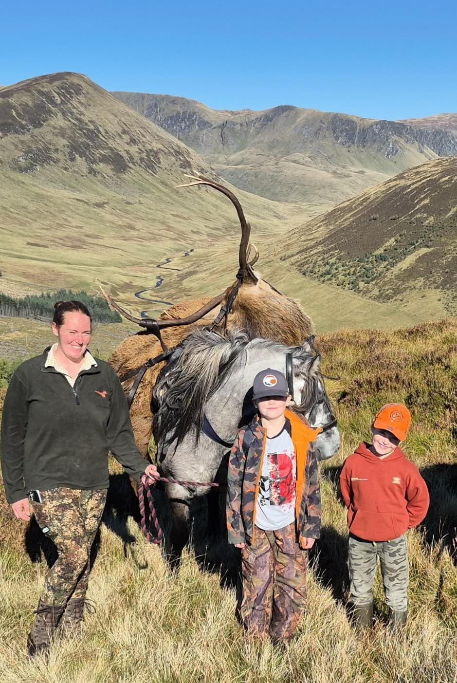 A Highland garron pack pony in the glen