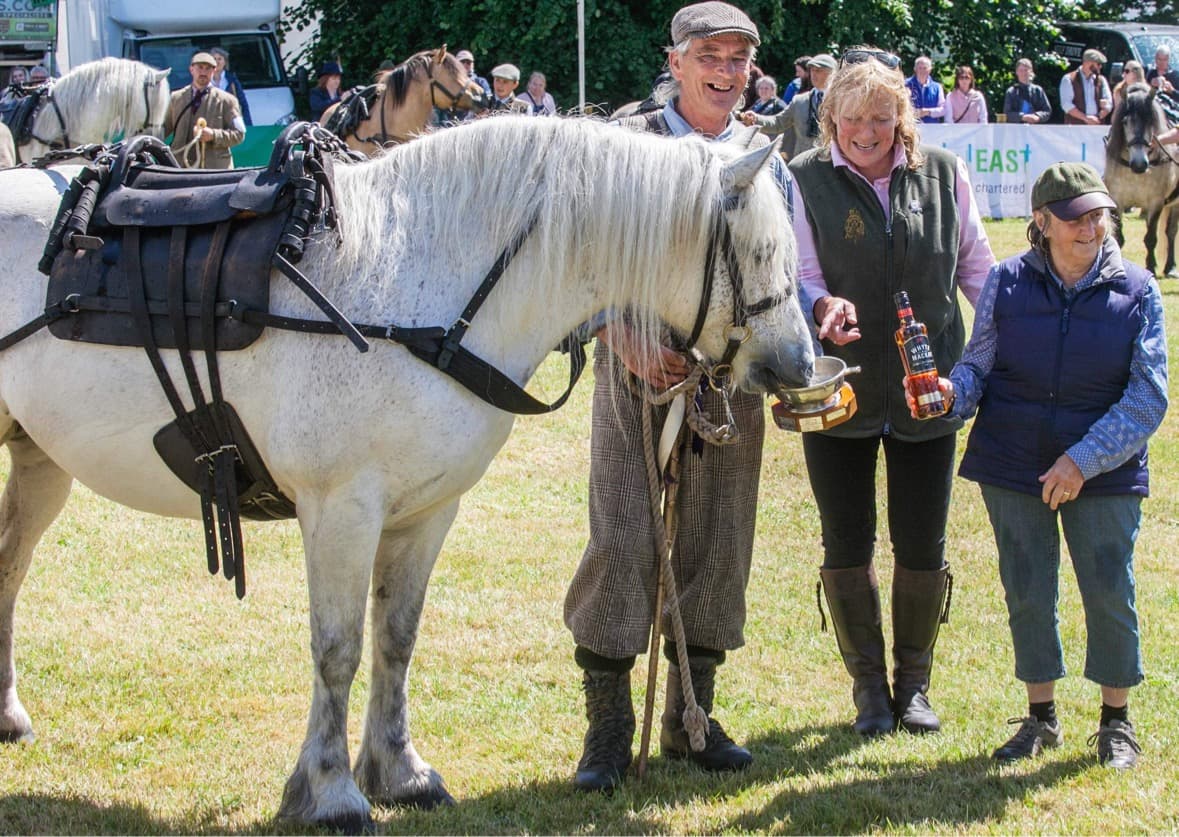 A harness pony with handlers at a presentation